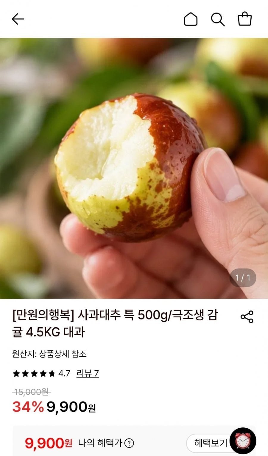 사과대추 특 500g 외 1종