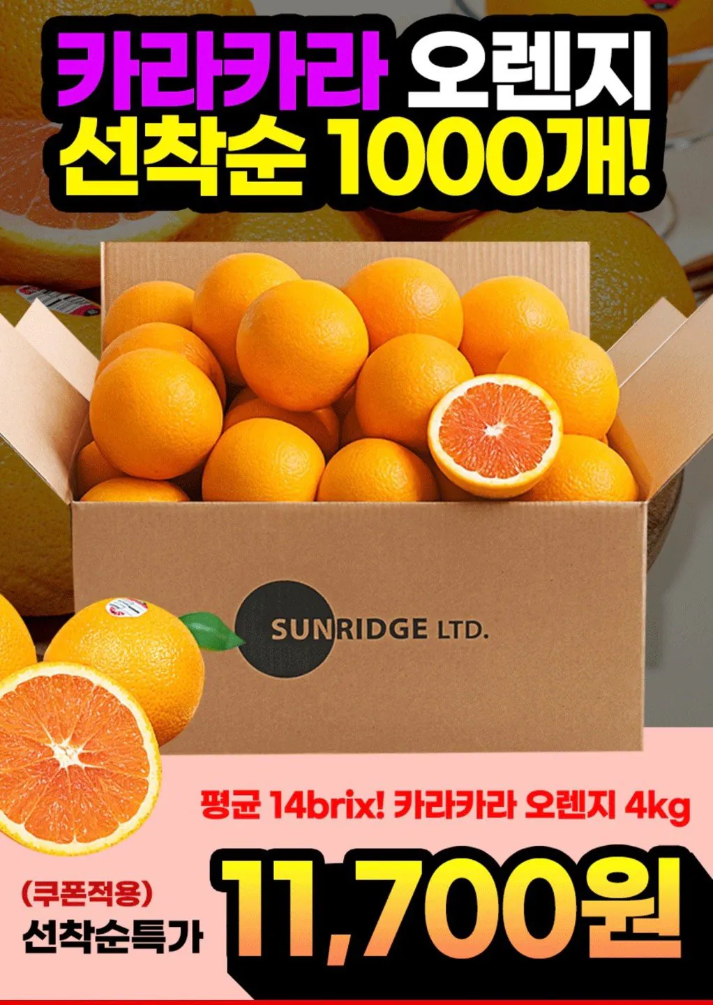 카라카라 오렌지 4kg