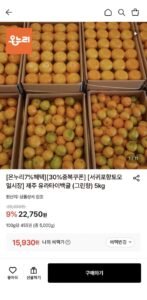 제주 유라타이벡 못난이귤 (그린향) 5kg 혼합과