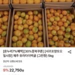 제주 유라타이벡 못난이귤 (그린향) 5kg 혼합과
