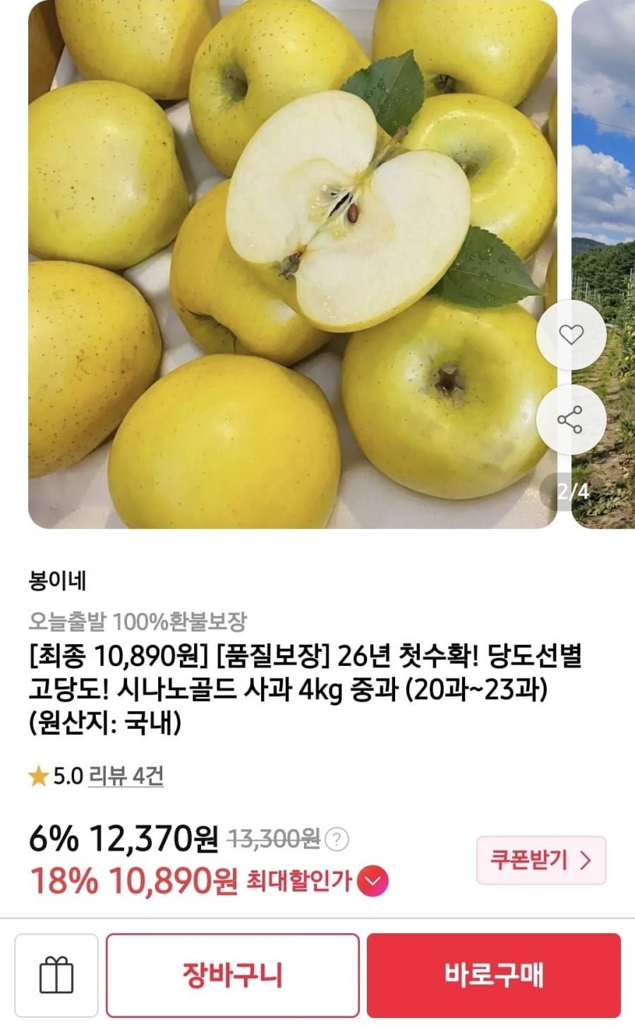 시나노골드 사과 4kg 중과 (20과) (카카페 10, 890/무배)