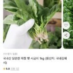 국내산 제철 햇 시금치 1kg