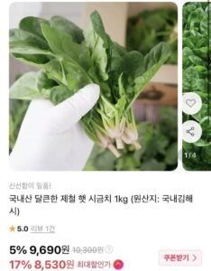 국내산 제철 햇 시금치 1kg