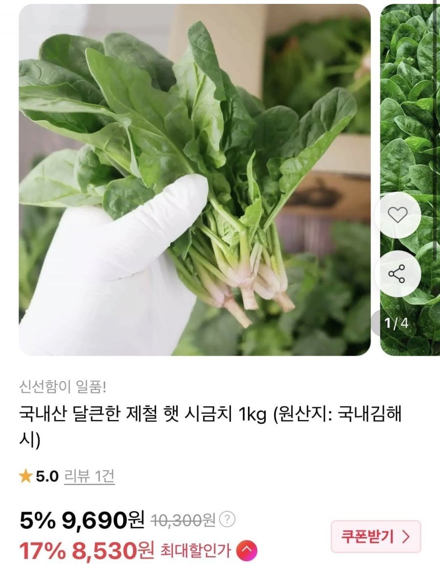 국내산 제철 햇 시금치 1kg