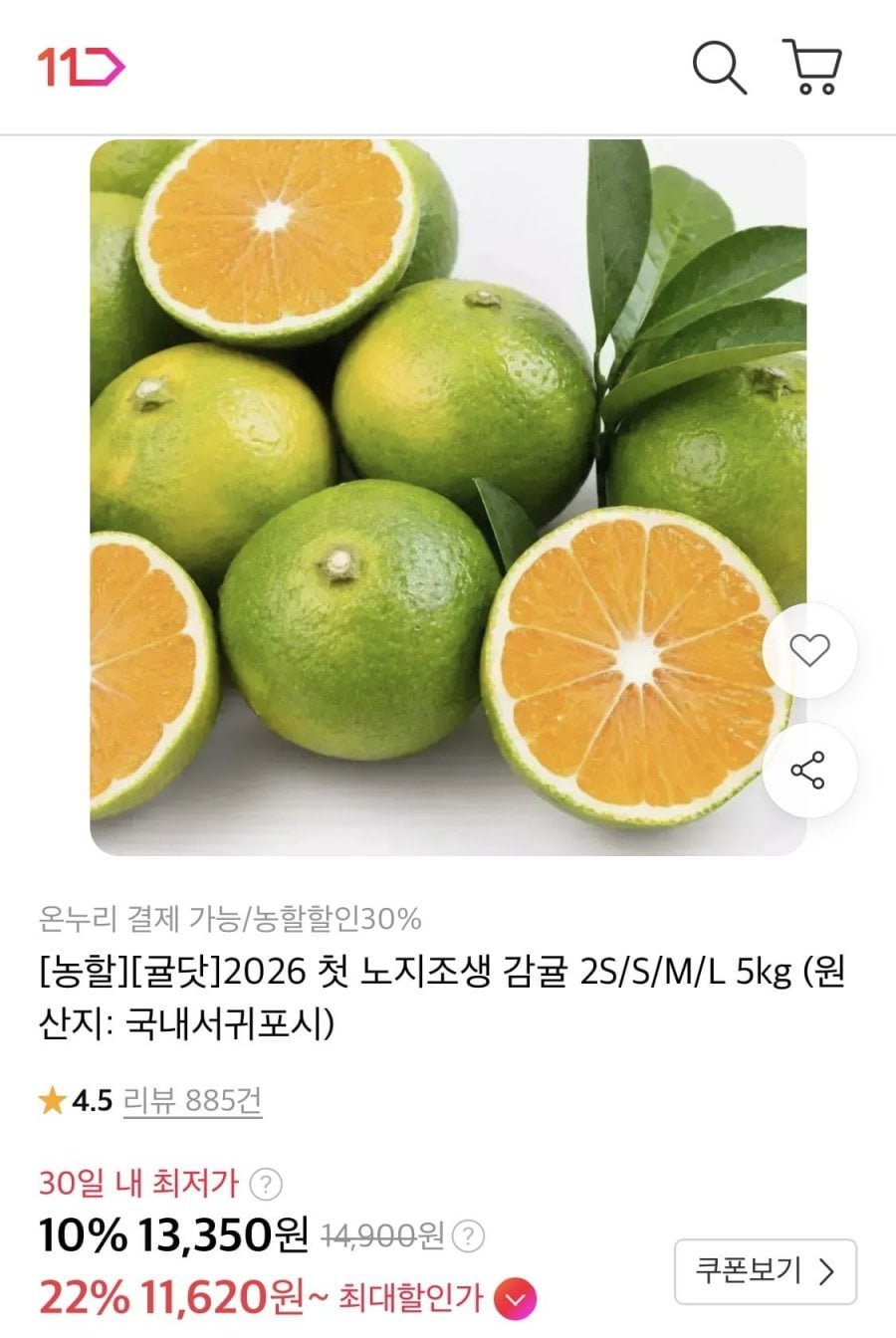 노지조생 감귤 중과 5kg
