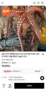 자연산 생물 돌문어 1kg 1-3미