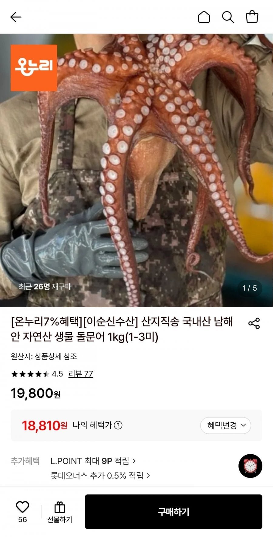 자연산 생물 돌문어 1kg 1-3미