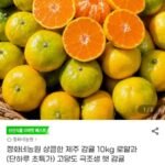 정화네농원 상큼한 제주 감귤 10kg 로얄과