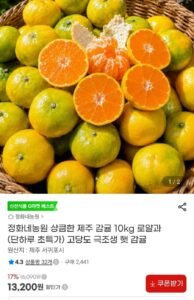 정화네농원 상큼한 제주 감귤 10kg 로얄과