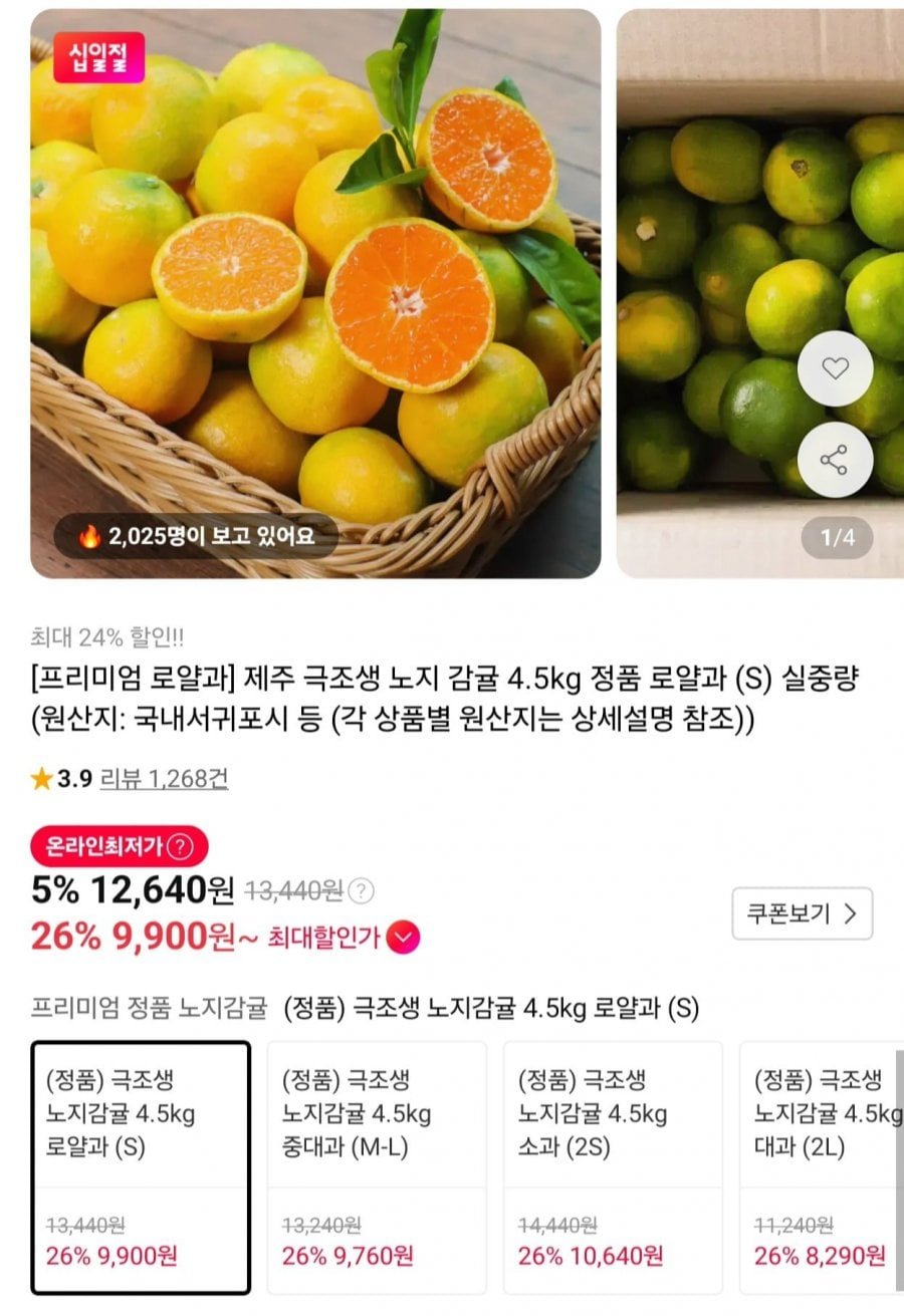 제주 극조생 노지감귤 로얄과 4.5kg