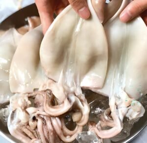 손질오징어 500g 2-3마리