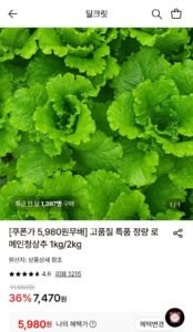 로메인청상추 1kg