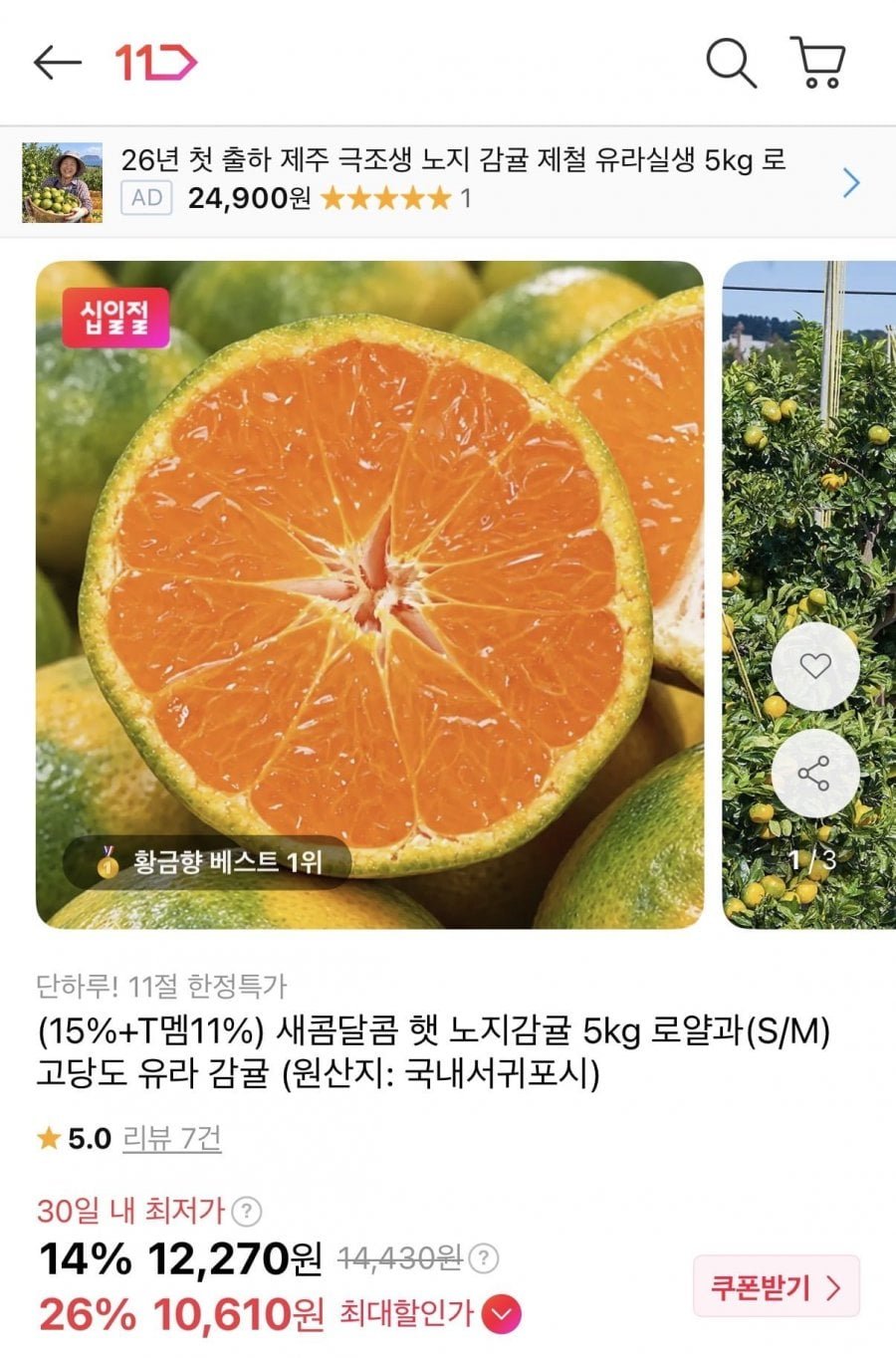 햇 노지감귤 5kg 로얄과