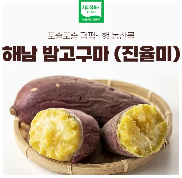 2026수확 해남 꿀밤 고구마 5kg 10kg