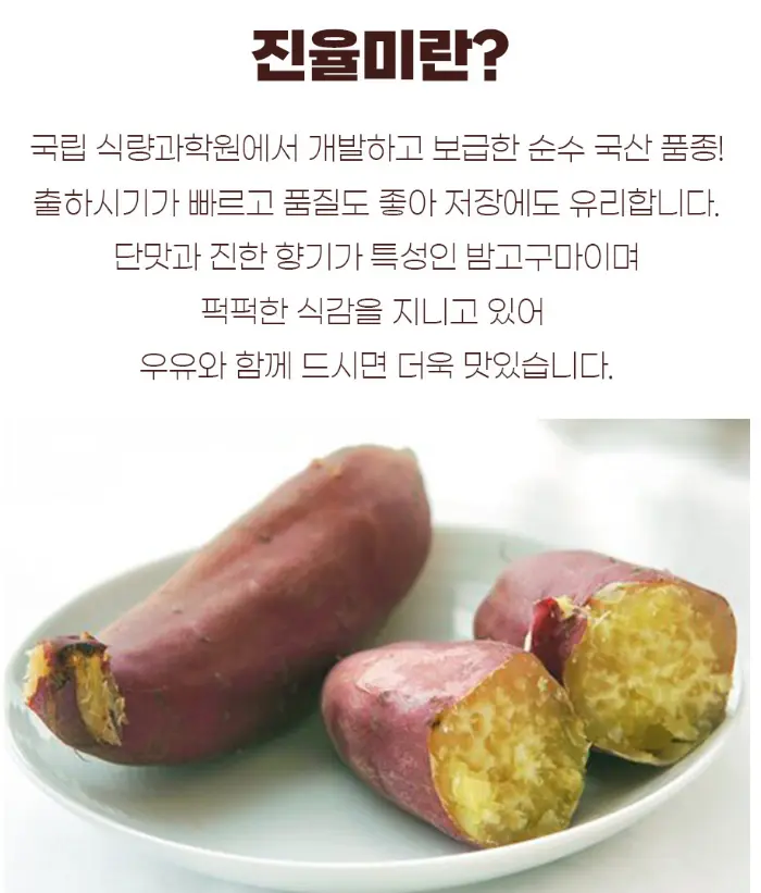 2026수확 해남 꿀밤 고구마 5kg 10kg