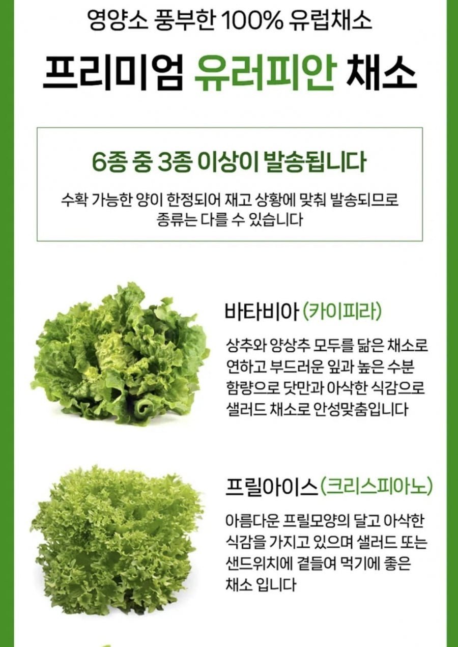 유러피안샐러드 1kg