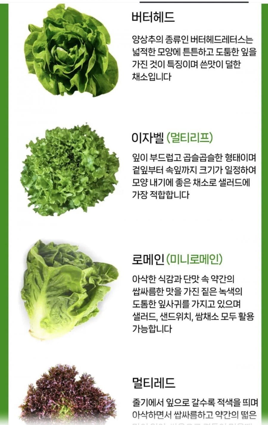 유러피안샐러드 1kg