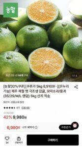 제주 제철 햇 극조생 감귤 5kg