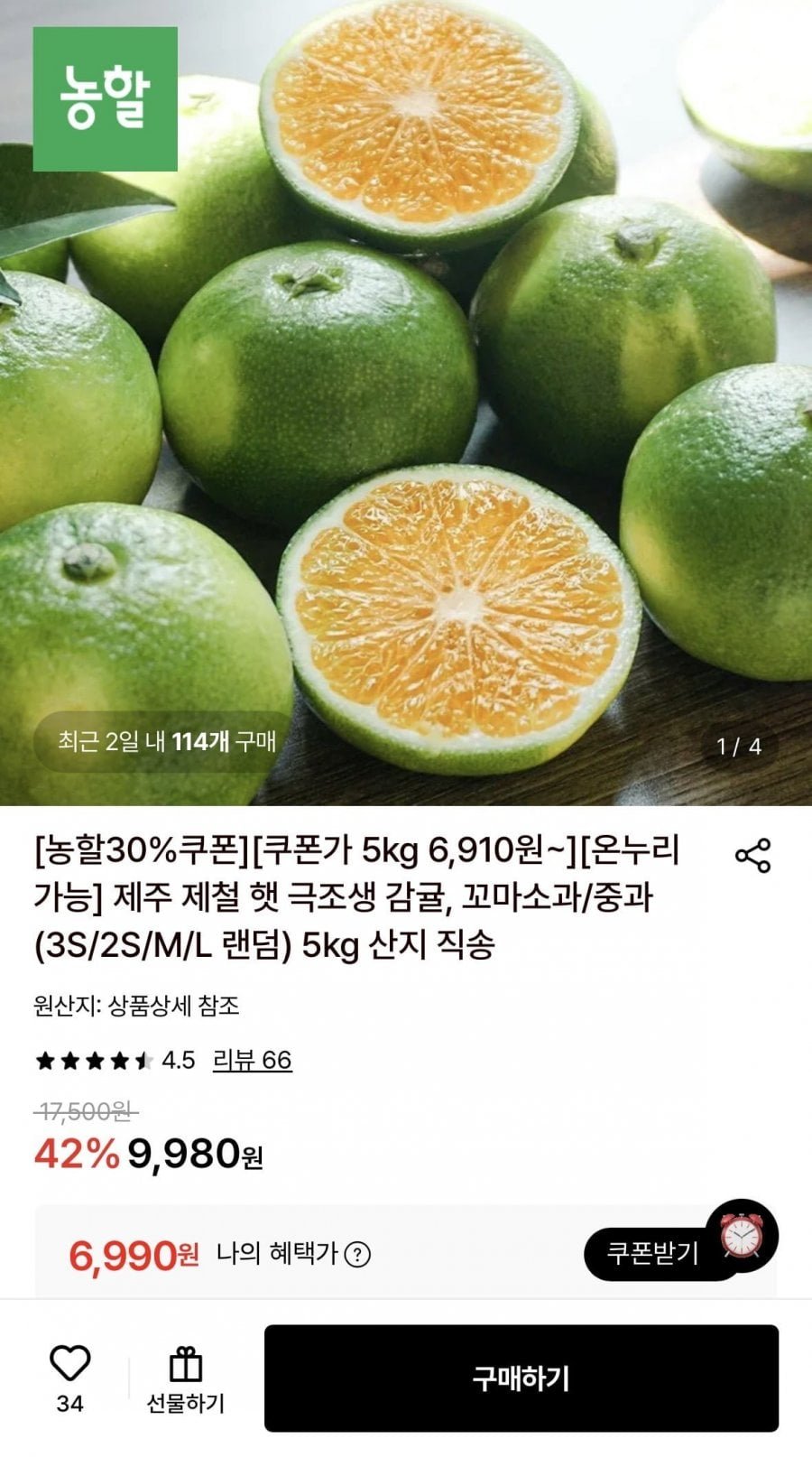 제주 제철 햇 극조생 감귤 5kg