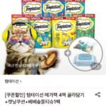 템테이션 메가팩 4팩 골라담기+캣닢쿠션+베베숲물티슈1팩