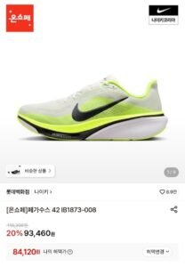 나이키 페가수스 42 IB1873-008