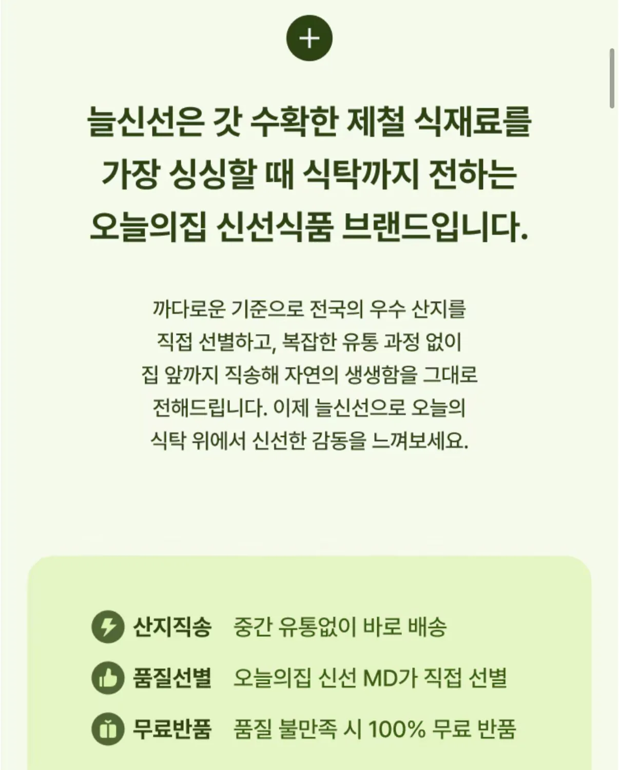 특품 햇 양파 3kg 실중량