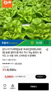 (농할30%) 농협 샐러드 쌈채소 1kg 3~4종