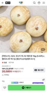 캘리포니아 직수입 고당도 못난이 허니듀 메론 총11kg 5-6과