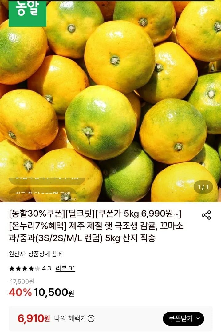 (농할) 제주 제철 햇 극조생 감귤 꼬마소과 5kg
