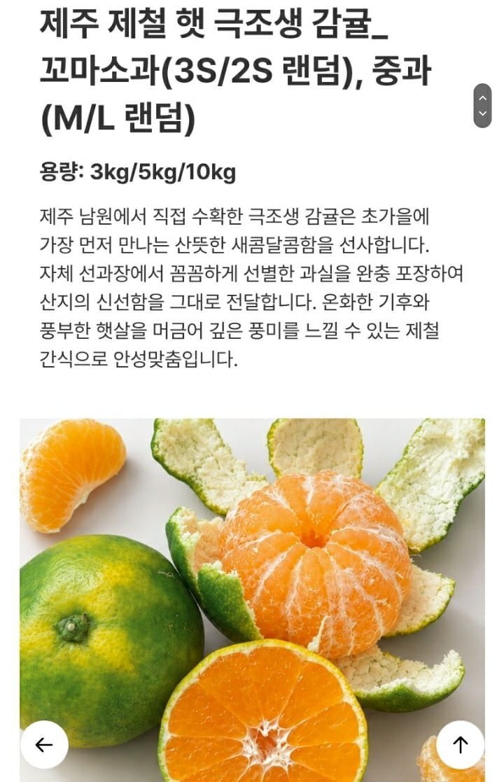 (농할) 제주 제철 햇 극조생 감귤 꼬마소과 5kg