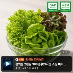GAP 무농약 부여 유러피안 샐러드 유럽 채소 1kg