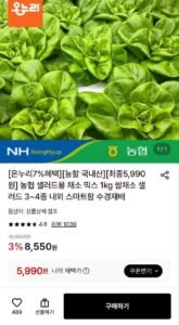 (농할) 농협 샐러드 쌈채소 1kg 3~4종