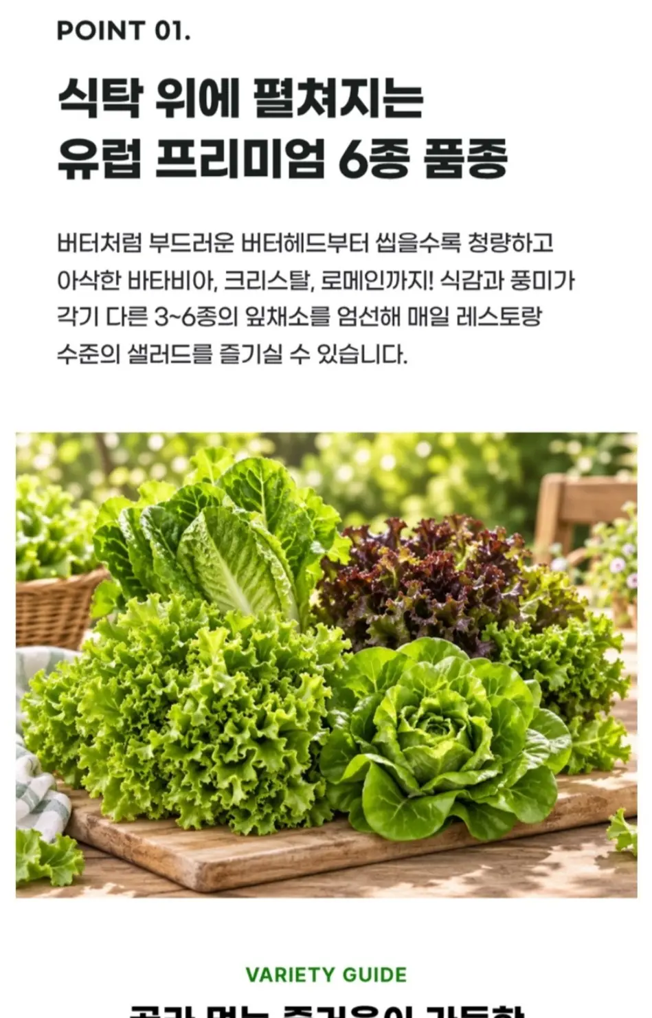 국내산 유러피안 샐러드 모듬쌈채소 1kg 1박스