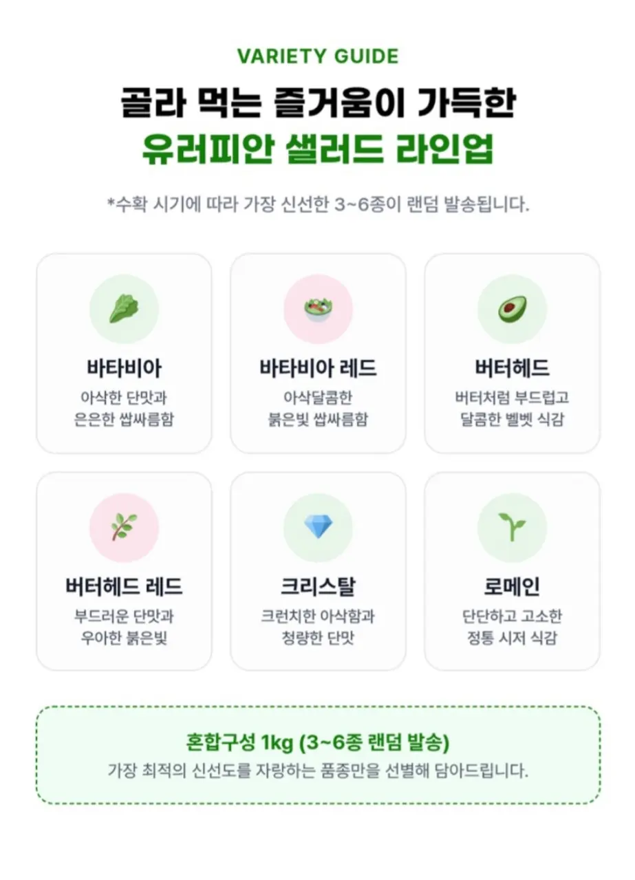 국내산 유러피안 샐러드 모듬쌈채소 1kg 1박스