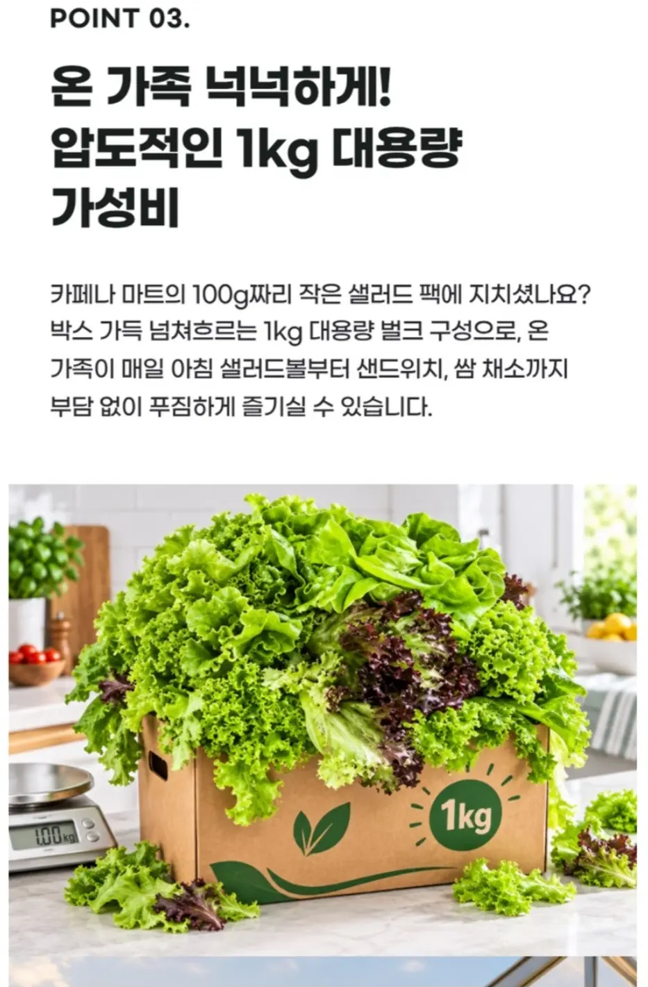 국내산 유러피안 샐러드 모듬쌈채소 1kg 1박스