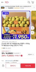 제주 햇 조생감귤 4kg 로얄과 +500g 증정