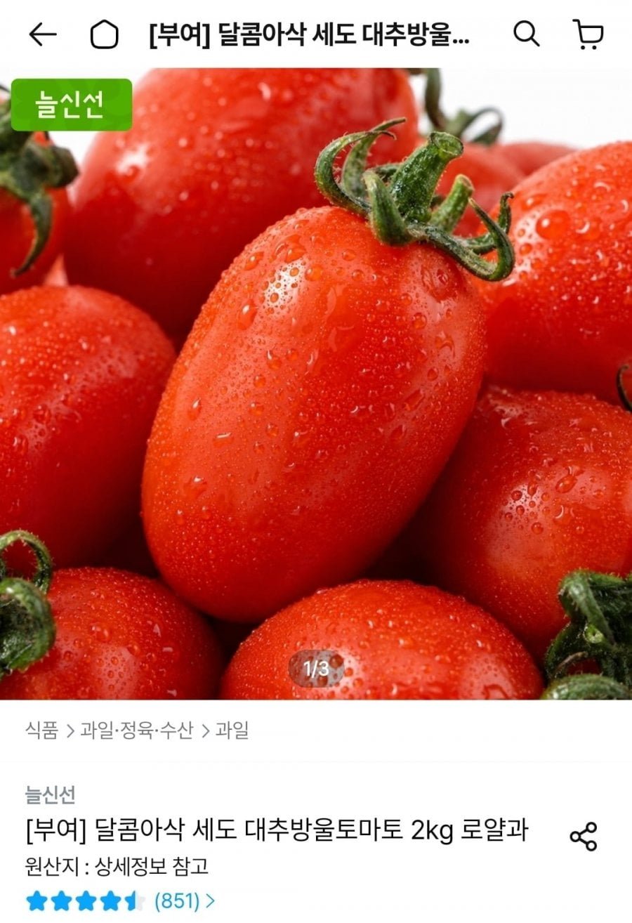 대추방울토마토 2kg 실중량 로얄과