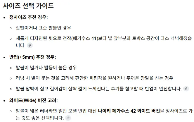 나이키 페가수스 42 (삼카 78,362원)