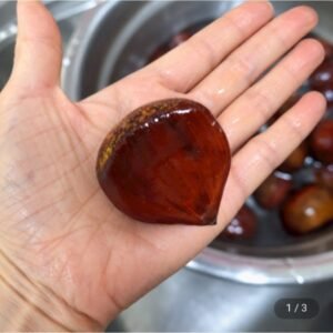산지직송 공주 부여 국산 햇밤 특대 2kg (개당 17-23g)