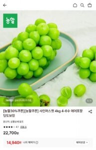 샤인머스켓 4kg 4~6수 에어포장