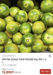 26년 제주직송 극조생 감귤 대과 9kg