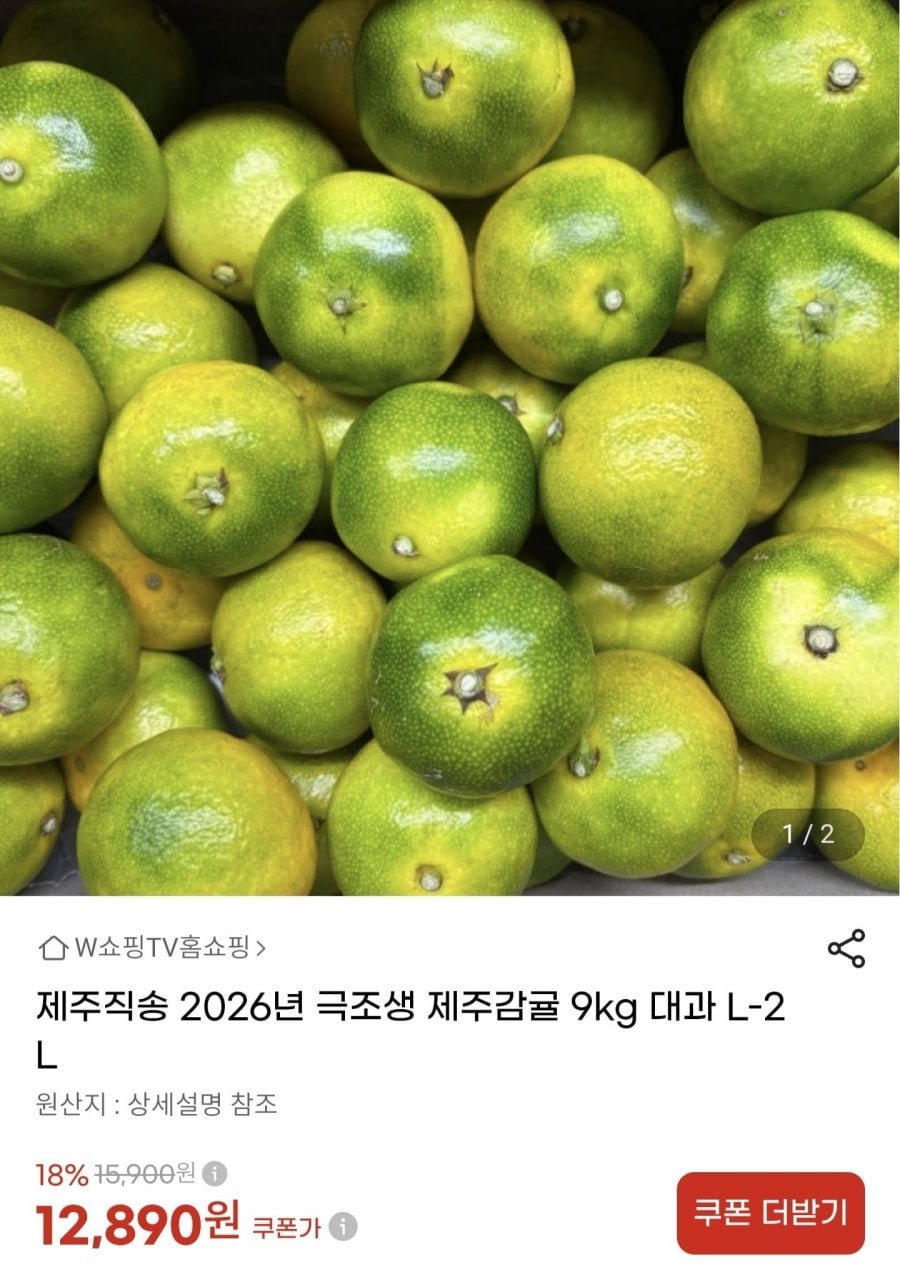 26년 제주직송 극조생 감귤 대과 9kg