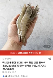 생물 활새우 1kg(28미내외)