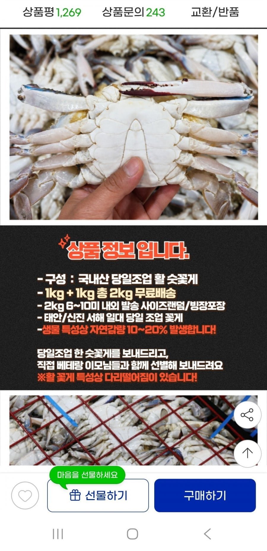 활 숫꽃게 1kg + 1kg 총 2kg