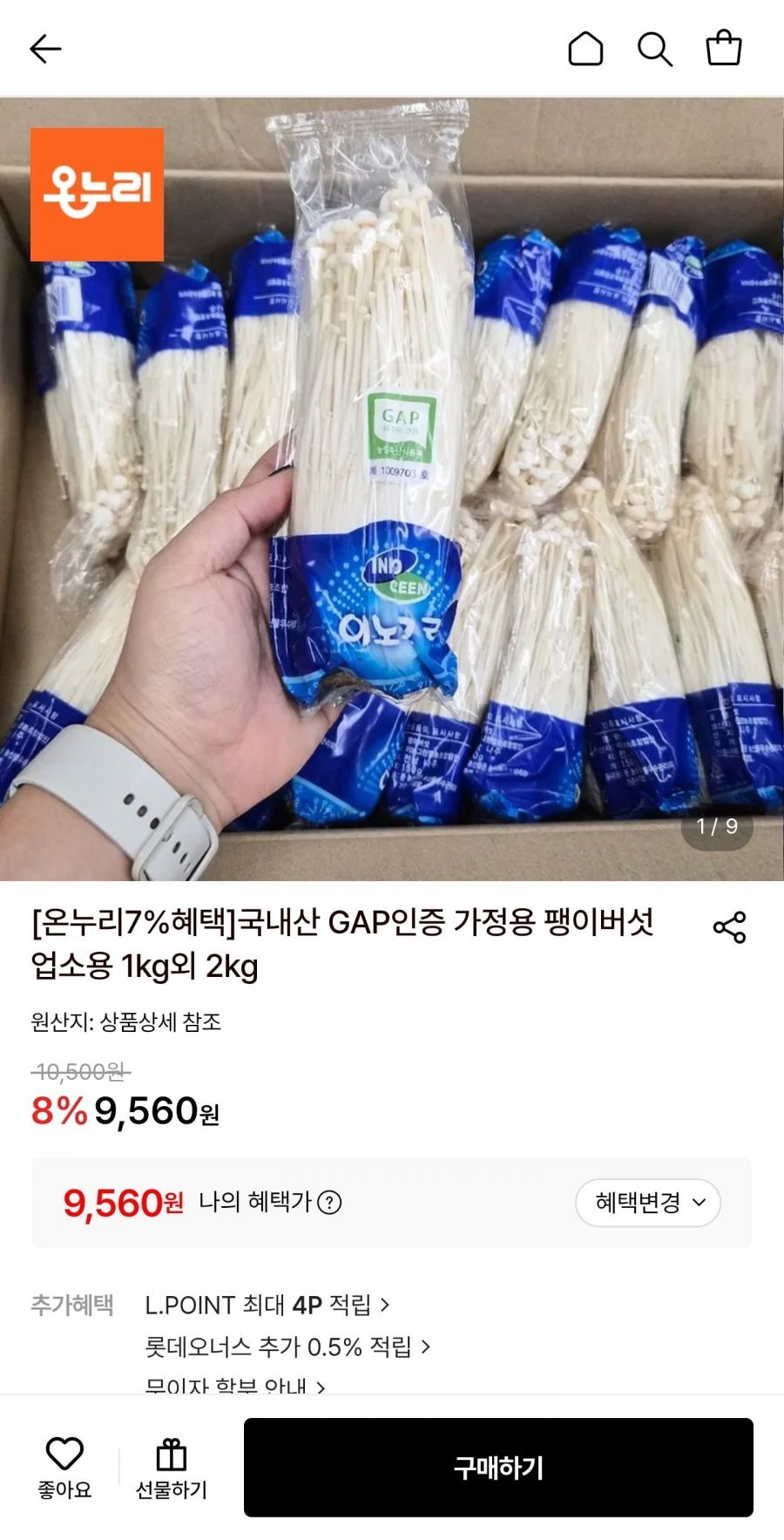 국내산 가정용 팽이버섯 2kg