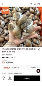 동해안 연안 생물 활 백고동 소소 1kg (55~65미)