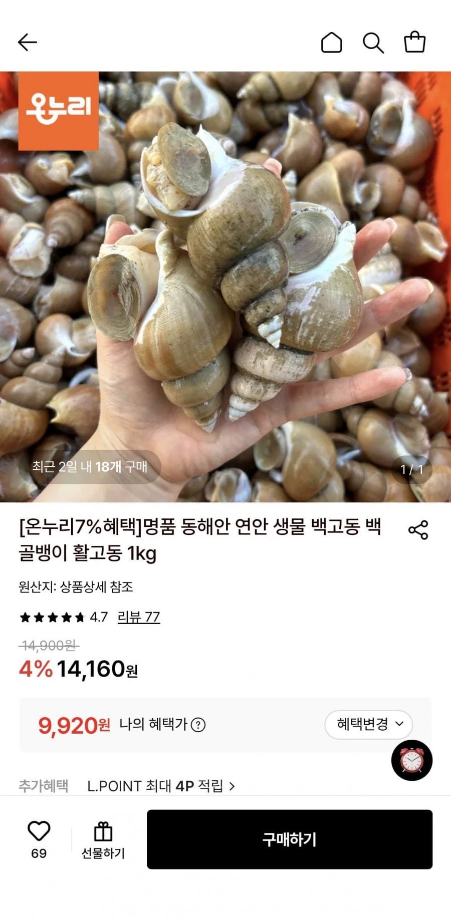 동해안 연안 생물 활 백고동 소소 1kg (55~65미)