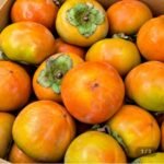 햇단감 5kg (30-35과)