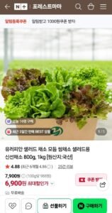 유러피안 샐러드 채소 모듬 쌈채소 샐러드용 신선채소 800g