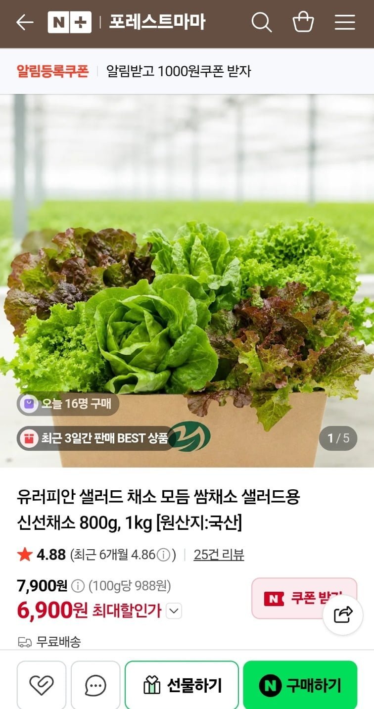유러피안 샐러드 채소 모듬 쌈채소 샐러드용 신선채소 800g